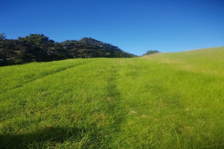 Photo of property in 725 Golden Stairs Road, Mareretu, Maungaturoto, 0589