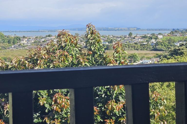 Photo of property in 340 Otumoetai Road, Otumoetai, Tauranga, 3110