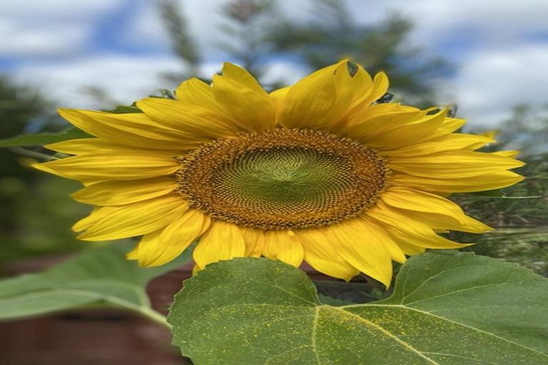 Photo of property in 15 Wrathall Road, Mangonui, 0420