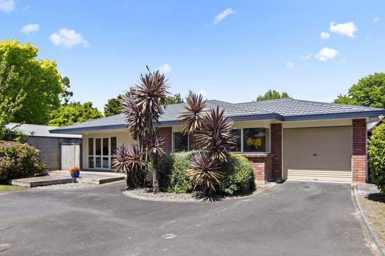 Photo of property in 10a Stanley Street, Claudelands, Hamilton, 3214