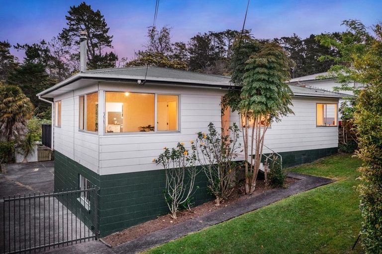 Photo of property in 69 Pine Avenue, Henderson, Auckland, 0612