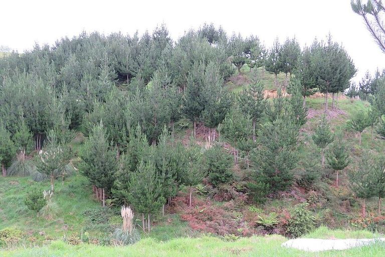 Photo of property in 289 Franklin Road, Paparoa, 0571