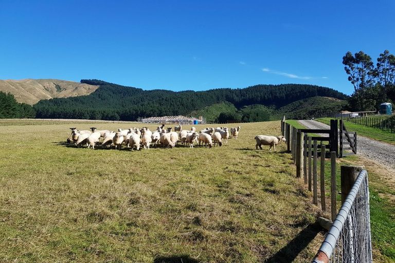 Photo of property in 210 Potts Road, Koputaroa, Levin, 5571