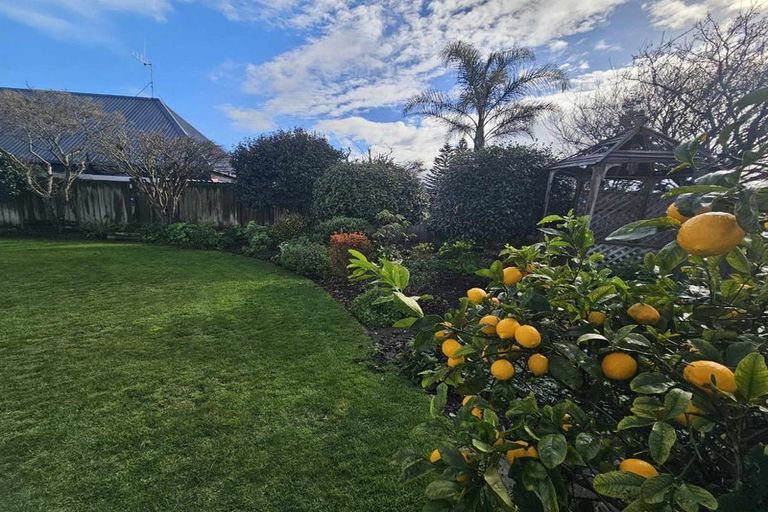 Photo of property in 14 Bullock Drive, Springvale, Whanganui, 4501