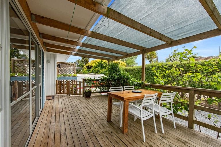 Photo of property in 62a Alison Street, Hamilton Lake, Hamilton, 3204