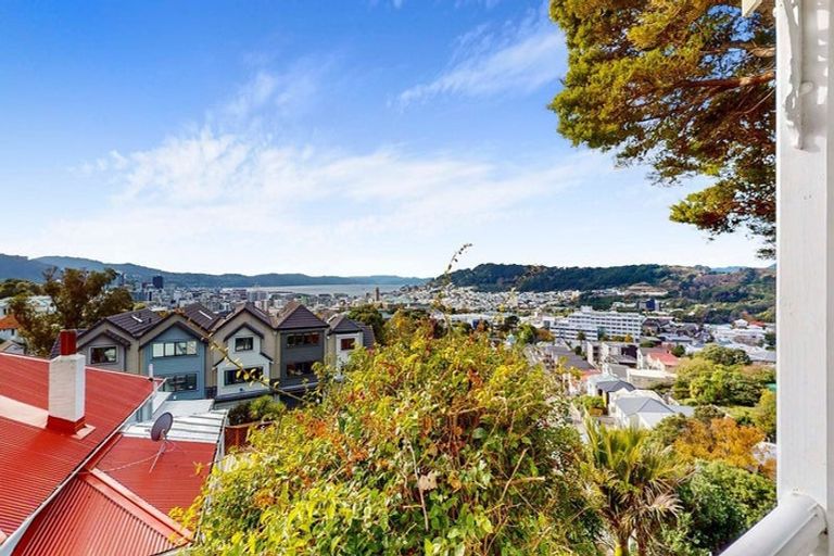 Photo of property in 53 Bidwill Street, Mount Cook, Wellington, 6021