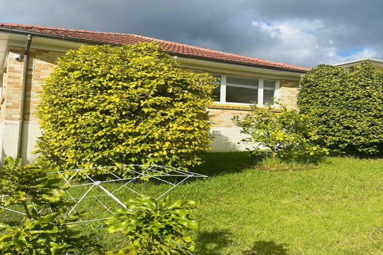 Photo of property in 41 Mahara Avenue, Birkenhead, Auckland, 0626