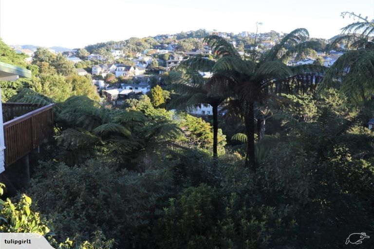 Photo of property in 58 Madras Street, Khandallah, Wellington, 6035