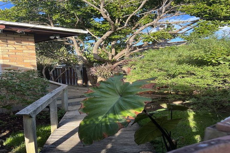 Photo of property in 1/24 Hillcrest Avenue, Hillcrest, Auckland, 0627