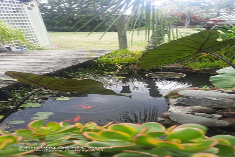 Photo of property in 248 Molesworth Drive, Mangawhai Heads, Mangawhai, 0505