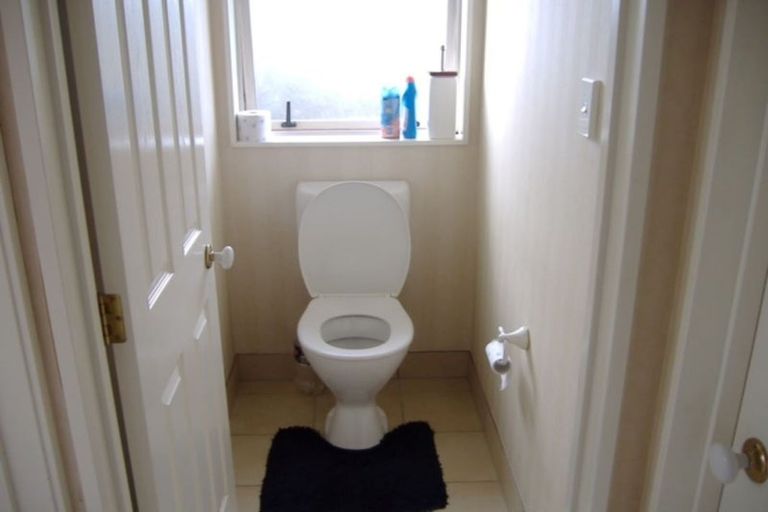 Photo of property in 6 Hansworth Place, Flat Bush, Auckland, 2019