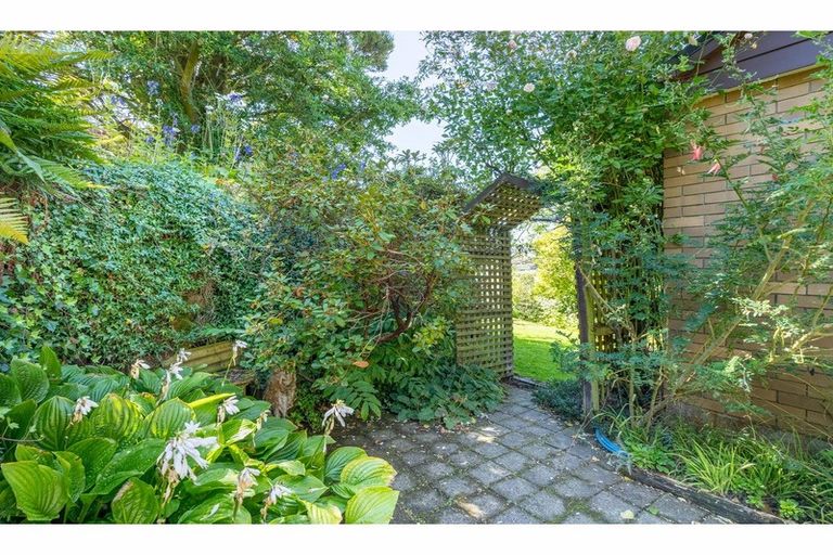 Photo of property in 11 Norton Street, Gore, 9710