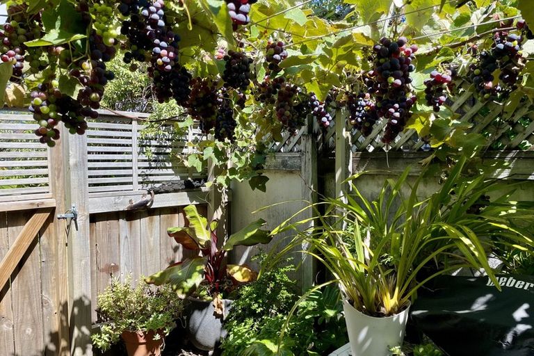 Photo of property in 22 Golf Road, Tahunanui, Nelson, 7011