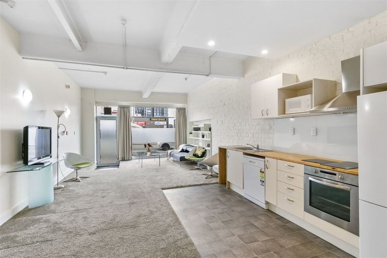 Photo of property in 195 Vivian Street, Te Aro, Wellington, 6011