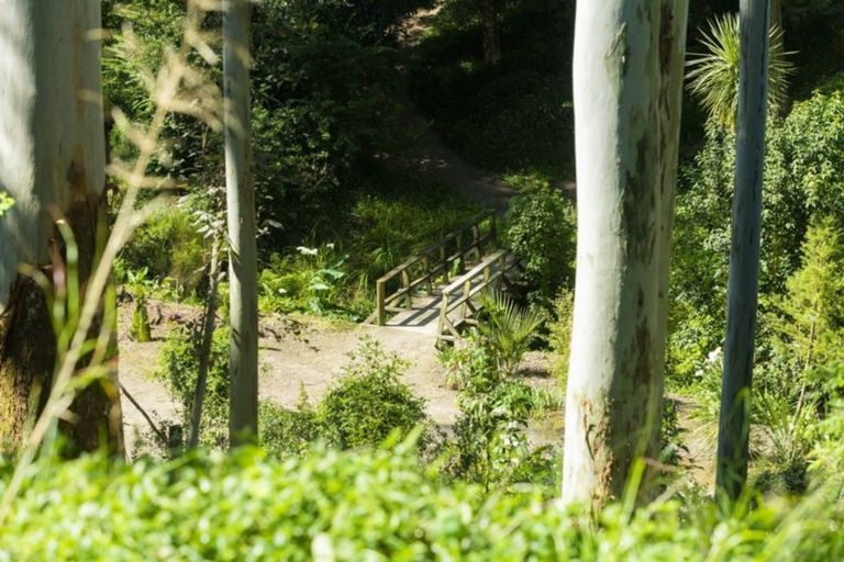 Photo of property in 18 Diana Avenue, Mangapapa, Gisborne, 4010