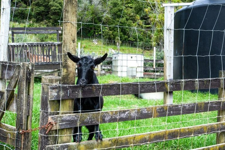 Photo of property in 12 Mildon Road, Waitakere, Auckland, 0782