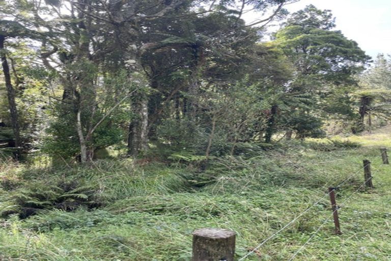 Photo of property in 397 Ruapuke Road, Raglan, 3296