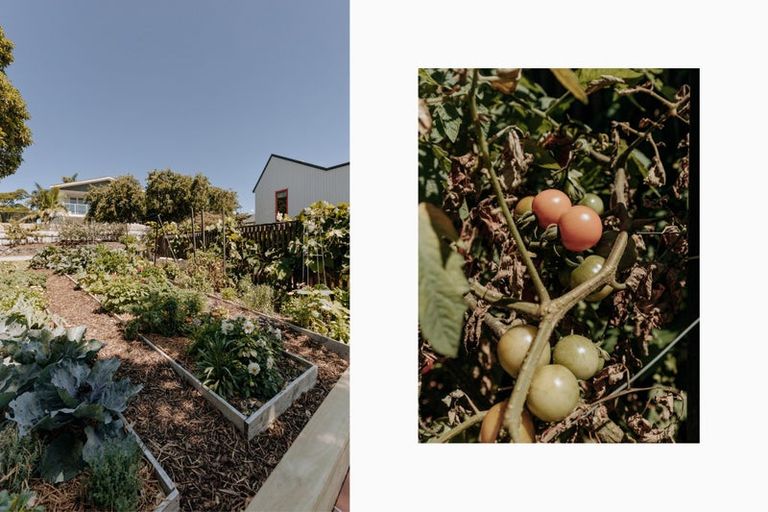 Photo of property in 16 Tilby Drive, Matua, Tauranga, 3110