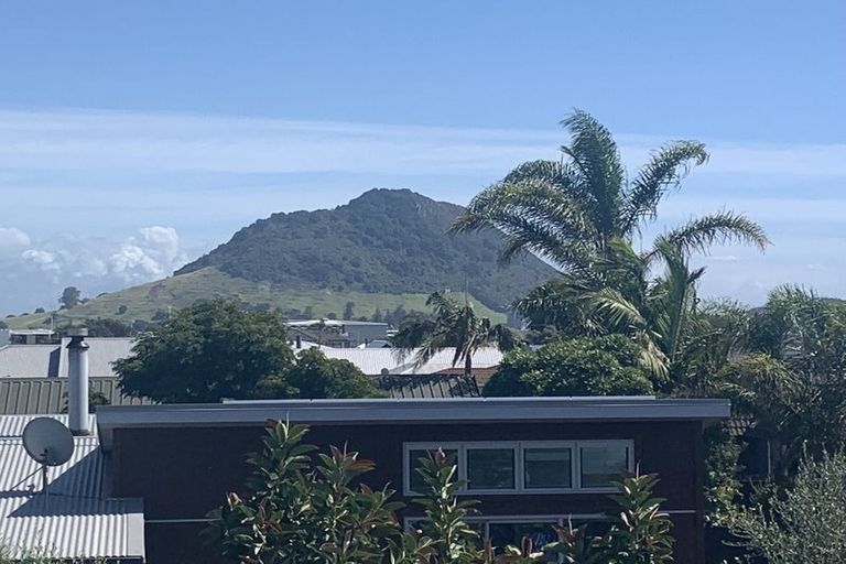 Photo of property in 26b Campbell Road, Mount Maunganui, 3116