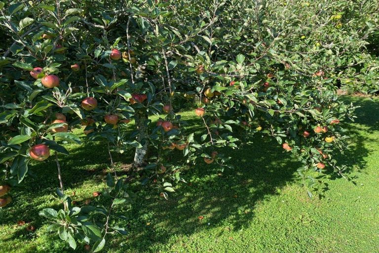 Photo of property in 49 Vista Road, Ohau, Levin, 5570