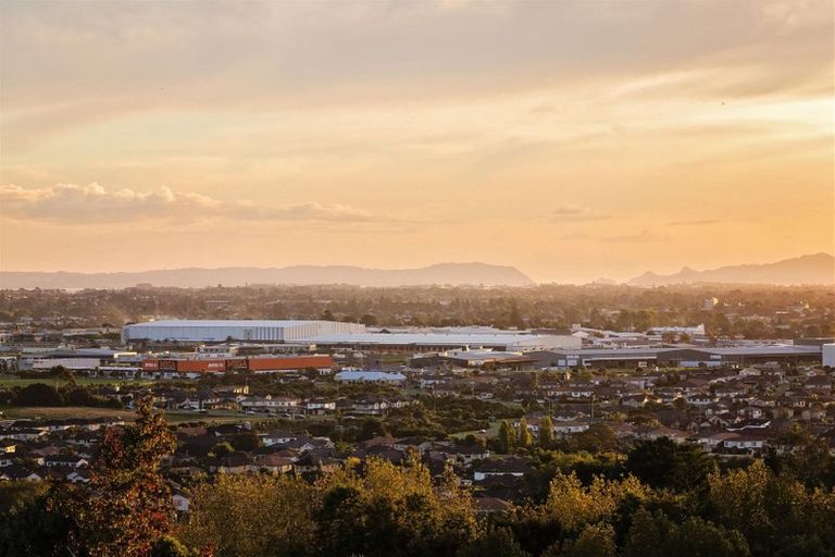 Photo of property in 41b Gracechurch Drive, Flat Bush, Auckland, 2016