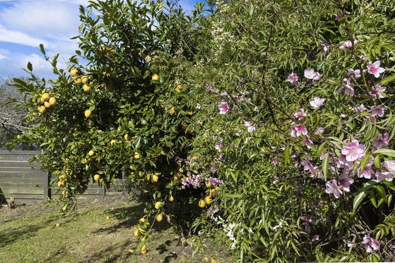 Photo of property in 19 Russell Road, Huntly, 3700