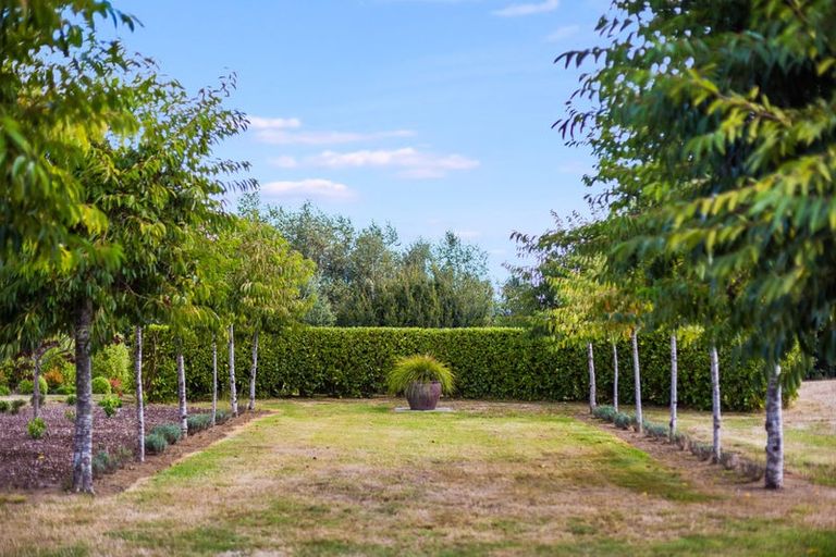 Photo of property in 67 Tarahunga Road, Levin, 5571