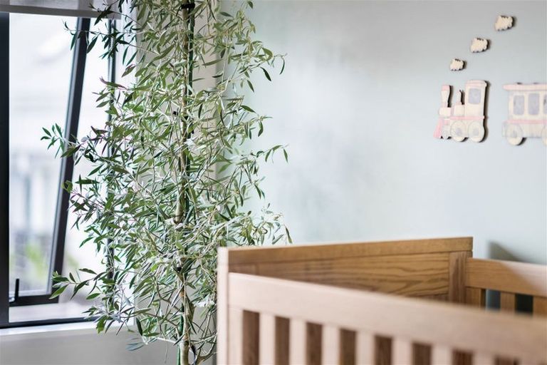 Photo of property in 31 Koura Drive, Red Beach, 0932