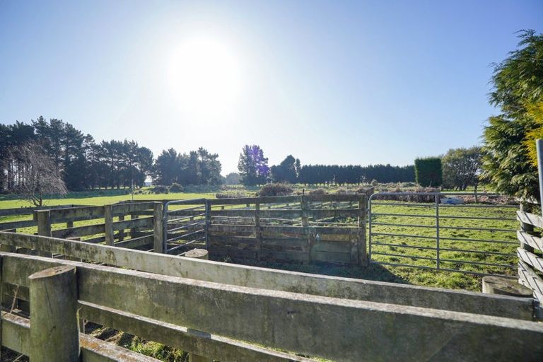 Photo of property in 213 West Plains School Road, West Plains, Invercargill, 9874