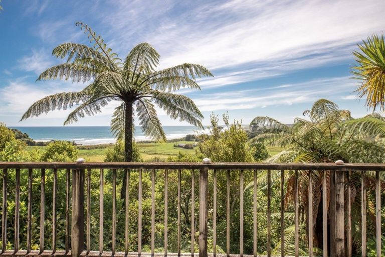 Photo of property in 17 Fairburn Place, Charleston, Cape Foulwind, 7892