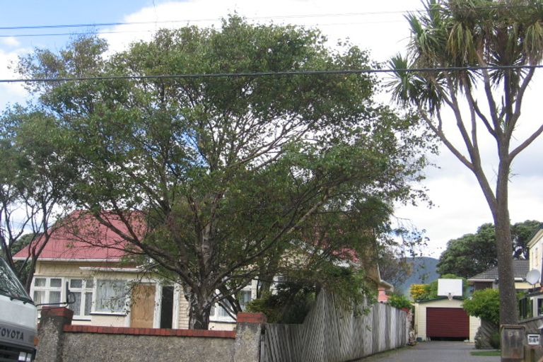 Photo of property in 56a Britannia Street, Petone, Lower Hutt, 5012