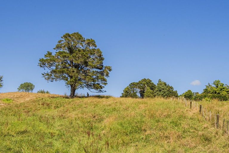 Photo of property in 12 Willow Lane, Maungaturoto, 0588