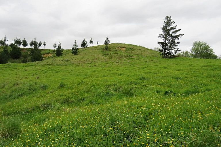 Photo of property in 289 Franklin Road, Paparoa, 0571