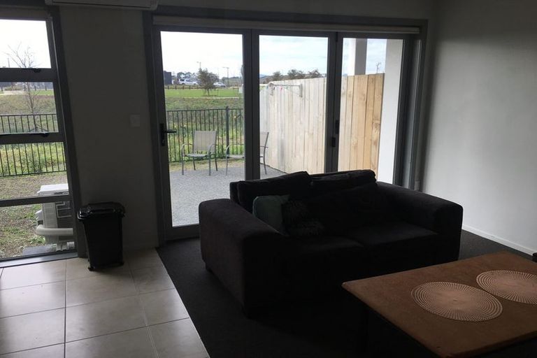 Photo of property in 29 Portland Lane, Chartwell, Hamilton, 3210