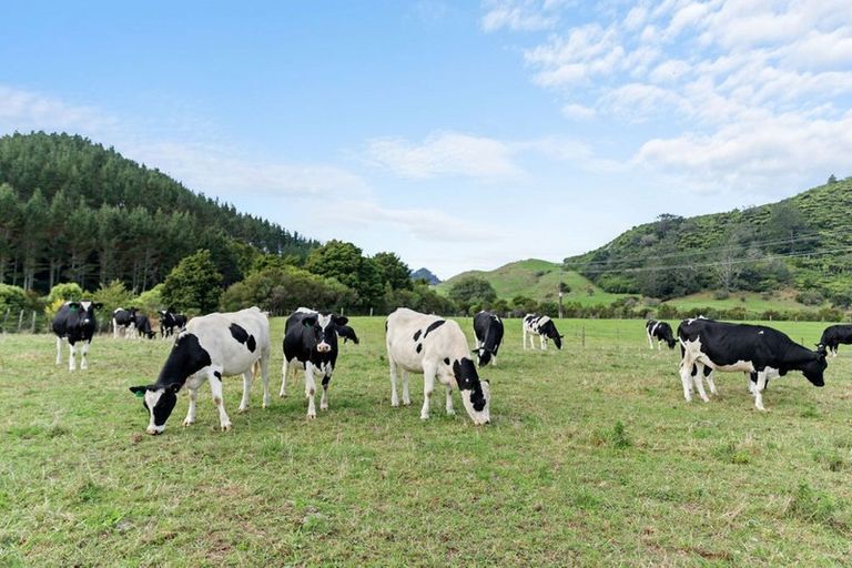 Photo of property in 45a Heath Road, Waihi, 3681