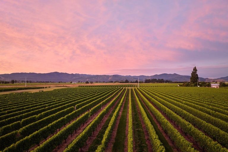 Photo of property in 22 Burnside Avenue, Springlands, Blenheim, 7272