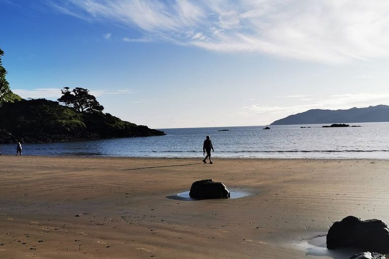 Photo of property in 14 Lori Lane, Coopers Beach, 0420