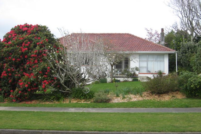 Photo of property in 67 Kawiu Road, Levin, 5510