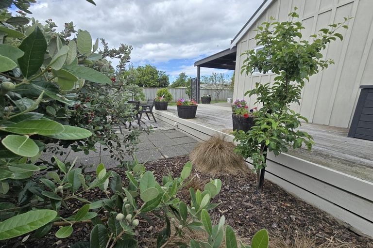 Photo of property in 69a Dublin Street, Martinborough, 5711