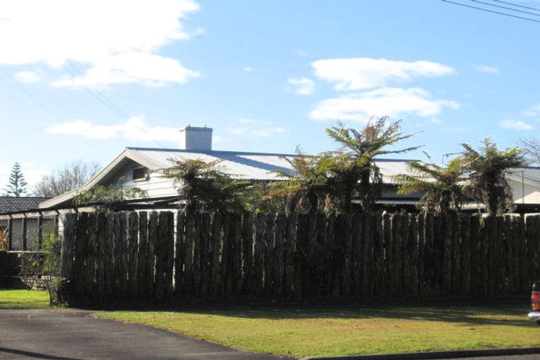 Photo of property in 107 Albert Street, Hamilton East, Hamilton, 3216