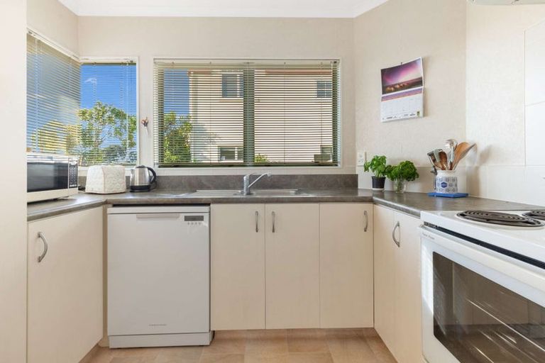 Photo of property in 16a Wickham Place, Hairini, Tauranga, 3112