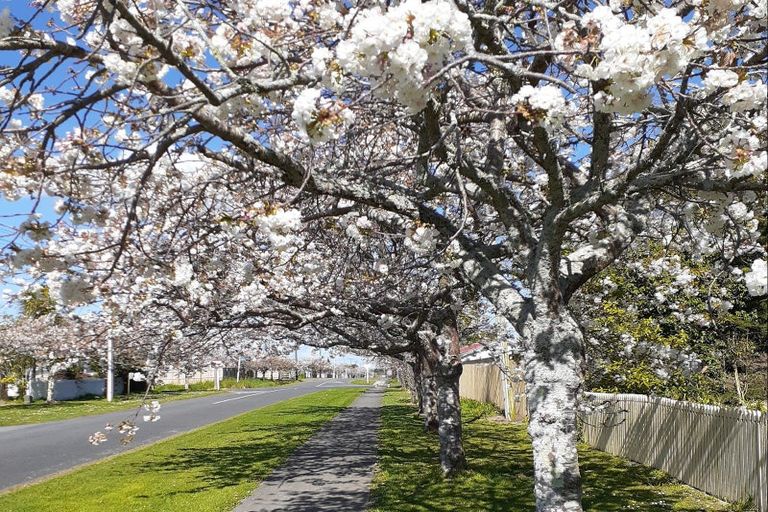 Photo of property in 53 Humber Street, Rongotea, 4476