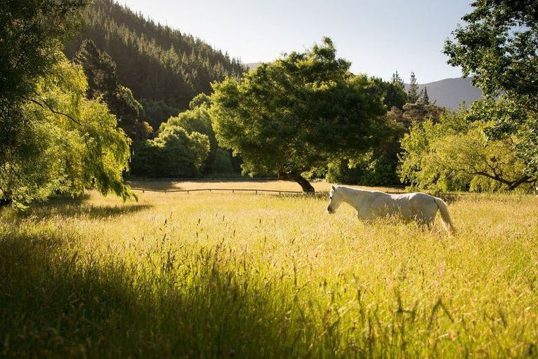 Photo of property in 217 Harvey Road, Marahau, Motueka, 7197