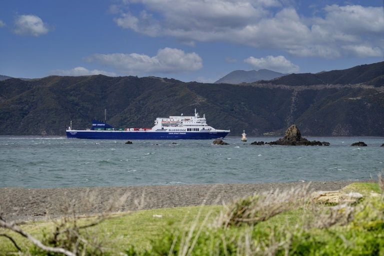 Photo of property in 7 Marine Parade, Seatoun, Wellington, 6022