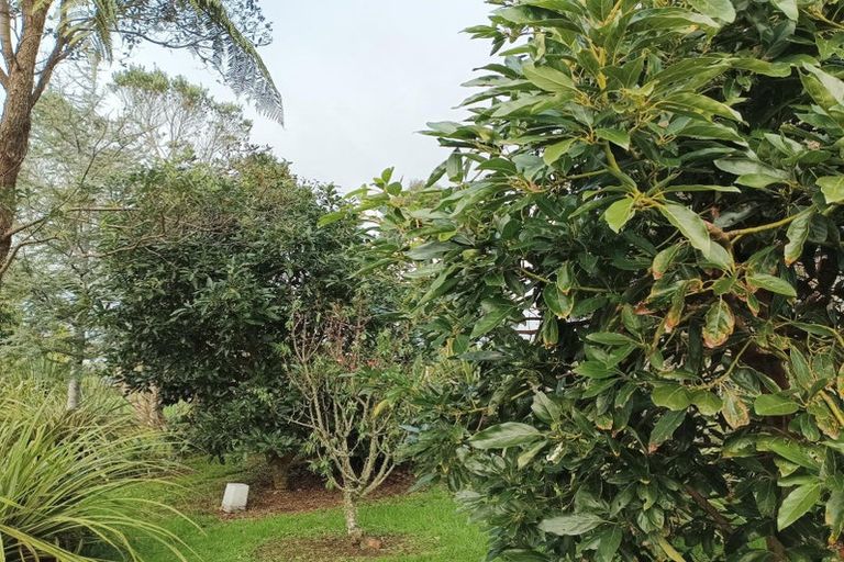 Photo of property in 23 Wharf Road, Albany, Auckland, 0632