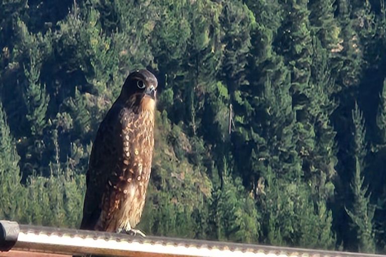 Photo of property in 990 Motueka River West Bank Road, Motueka Valley, Motueka, 7196