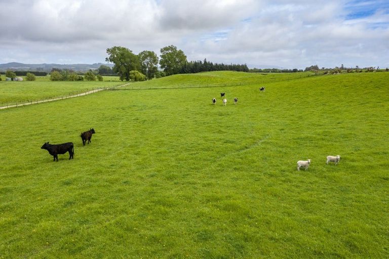 Photo of property in 266 Rangiora Leithfield Road, Sefton, 7477