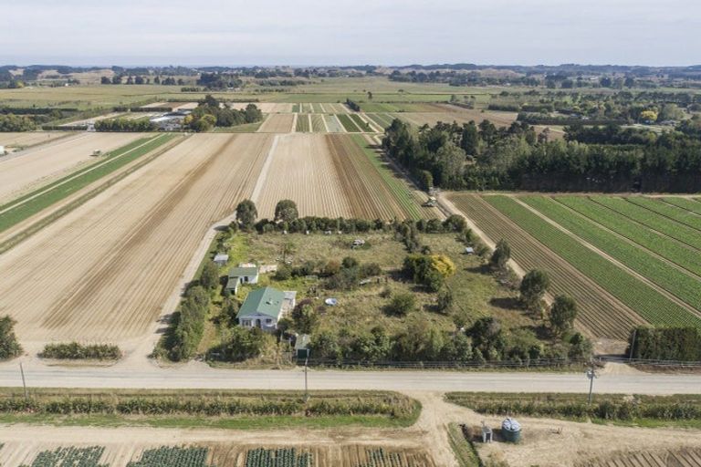 Photo of property in 178 Cd Farm Road, Levin, 5571