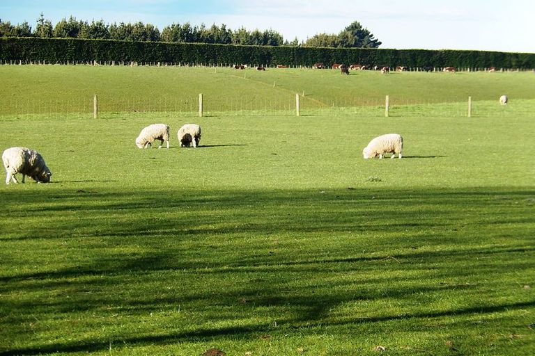 Photo of property in 37 Clareview Road, Herbert, Oamaru, 9495