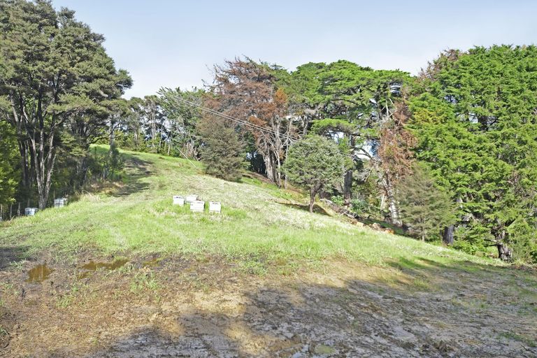 Photo of property in 99 Birdsall Road, Whangateau, Warkworth, 0985